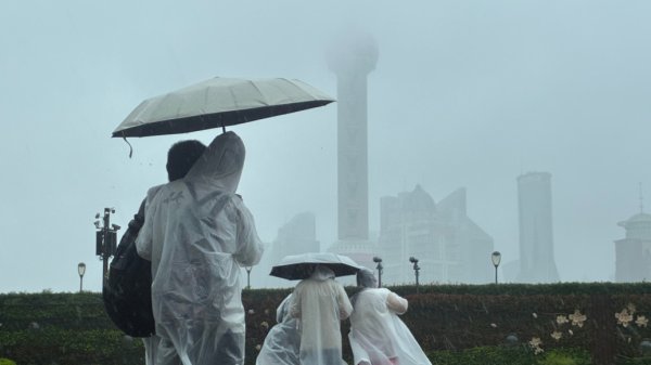 牛小散 二登！台风“竹节草”登陆上海市奉贤区沿海